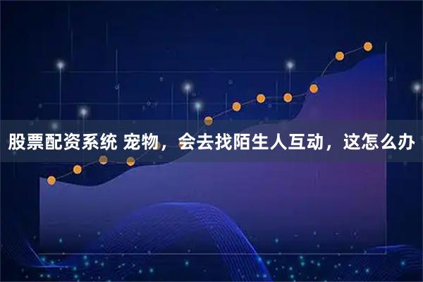 股票配资系统 宠物，会去找陌生人互动，这怎么办